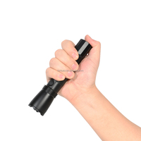 Lampe torche LED certifiée ISO9001 Lontu, autonomie de 16 heures, éclairage de sécurité anti-explosion HZ7623, batterie rechargeable 18650, portable, DC 12V