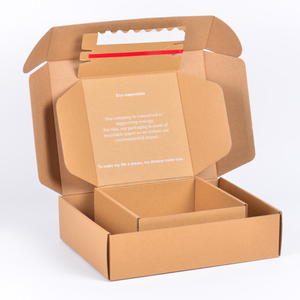 Sang trọng biểu tượng tùy chỉnh sinh thái thân thiện màu nhỏ bao bì các tông giấy máy bay sóng Quà Tặng vận chuyển hộp bưu phẩm hộp - Product Image 2