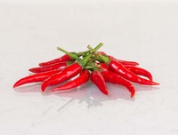 High Quality Vietnam Fresh Red Chili 3-6cm 30kg/pack Best Price Wholesale for Food Use Raw Processing Spicy Taste