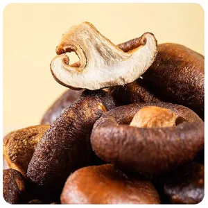 DETAN Export Health Snacks Crispy Delicious Shiitake Mushroom Slices Shiitake Crisp For Sale