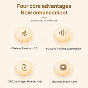 Meistverkaufte Hochwertige Batteriebetriebene Intelligente Bluetooth China OTC Hörgeräte Preisgünstig Neueste für Frauen mit Schwerem Hörverlust - Product Image 5