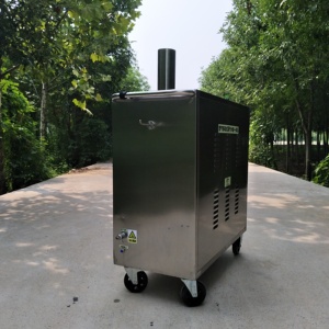 Máquina de Lavado de Autos a Vapor Móvil para Talleres de Lavado de Autos, Pequeña Máquina de Limpieza Multifuncional a Gas - Product Image 5