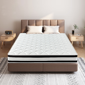 Dệt Kim Tre Vải Dừa Sợi Mùa Xuân Làm Mát Bộ Nhớ Bọt Cao Su Mềm Công Ty Ngủ Nệm Đôi Nữ Hoàng Vua Kích Thước Cho Khách Sạn - Product Image 6