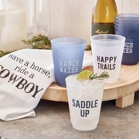 Ensemble de 6 gobelets en plastique givré 16 oz, design Bluebonnets