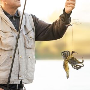 Piège à crabes <span class=keywords><strong>en</strong></span> fil d'aluminium, crochets ronds pour crabes, 6-8 crochets, matériel de pêche <span class=keywords><strong>en</strong></span> gros - Product Image 6