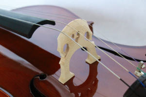 Violonchelo de Alta Calidad con Acabado Brillante, Tapa de Abeto Flameado, Fondo de Arce Flameado y Decoración de Espiral, <span class=keywords><strong>Precio</strong></span> de Fábrica - Product Image 5