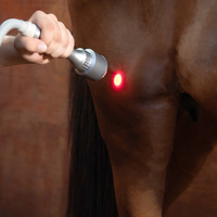Appareil de thérapie laser haute intensité de classe 4 pour cliniques vétérinaires, soulagement de la douleur animale et traumatismes des tissus mous