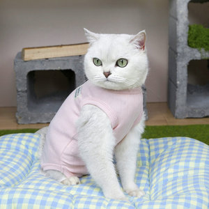 Abbigliamento per Animali Domestici: Tuta Chirurgica Traspirante Anti-Leccatura per Gatti Femmina e Maschio, Post-Operatoria per <span class=keywords><strong>Sterilizzazione</strong></span>/Neutrazione - Product Image 3