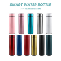 Thermos en acier inoxydable personnalisé de 500 ml avec affichage de la température LED intelligent, isolation thermique de 6 à 12 heures, portable et minimaliste