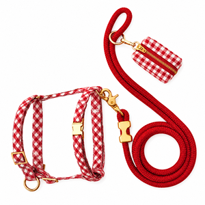 Ensemble d'accessoires pour harnais de chien personnalisé, design rembourré écologique, motif personnalisé, faible MOQ - Product Image 3