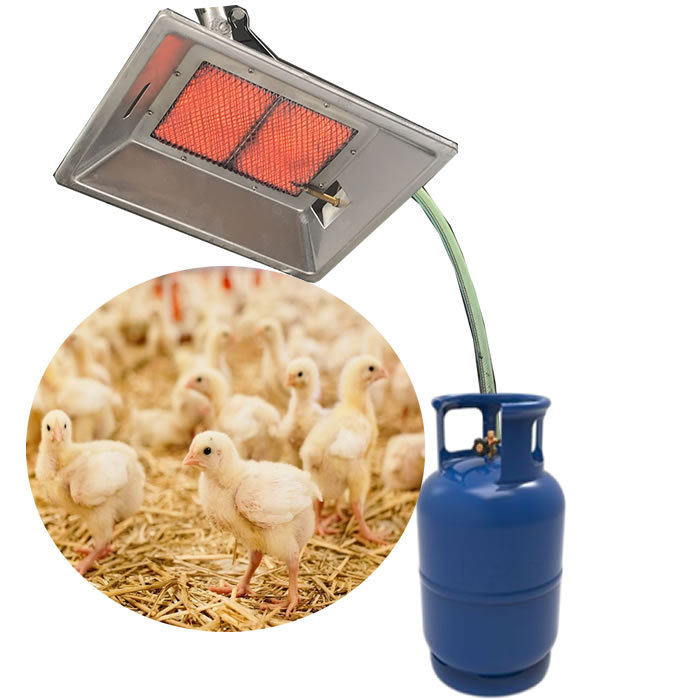 Infrared Burners for Poultry Farms in Indonesia: Boost Efficiency Fast
