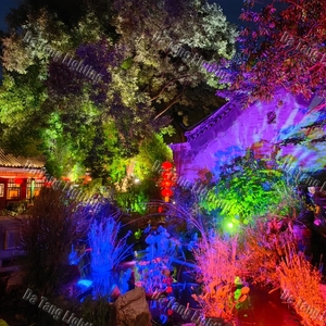 Iluminación de Alta Potencia para Cubrir Árboles Grandes y Elementos del Paisaje con una Iluminación Nocturna Saturada - Product Image 4