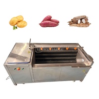 Automatische professionele roestvrijstalen fruit- en groentewasser, aardappelreiniger, -wasser en -schiller, hoge efficiëntie