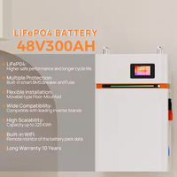 Batterie LiFePO4 15KWh 51.2V 300Ah, pack divisé IP65, BMS intelligent 200A, cycle profond, CAN RS485, pour onduleur, appareils solaires domestiques, garantie 10 ans