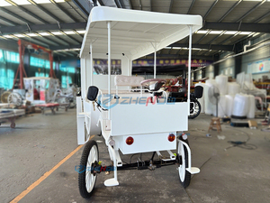 Nuevo Vehículo Eléctrico de Turismo para Fotografía de Viajes, Transporte Especial para Múltiples Ocasiones - Product Image 6
