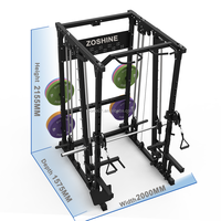 Zoshine Fitness : Équipement de fitness multifonctionnel pour la maison – Ensemble de gym complet avec machine Smith et rack à squats – Vente directe usine