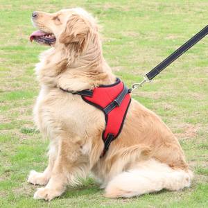 Harnais pour chien en nylon résistant pour promener son chien, laisse pour chien colorée - Product Image 1