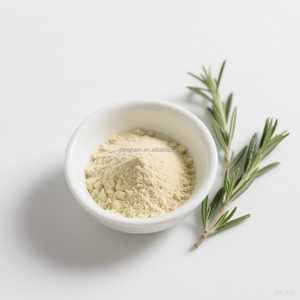 Polvo de extracto de Romero orgánico de ácido carnósico 90% al por mayor suplemento antioxidante de hierbas a granel materia prima de grado alimenticio en botella - Product Image 4