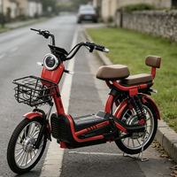Vélo électrique biplace 48V 500W, cadre en acier haute teneur en carbone, coussin confortable, vélo électrique urbain pour adultes, service OEM