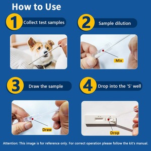 Kit de test CDV rapide de distemper canin de réactifs de diagnostic <span class=keywords><strong>Vitro</strong></span>