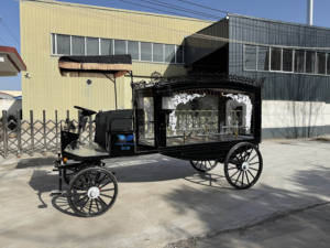 รถโลงศพไฟฟ้าย้อนยุคสีขาว - Product Image 3