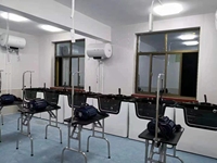 Sèche-cheveux professionnel pour animaux 3400W à double moteur puissant, avec tuyau d'air de 3 mètres, pour lavage de chiens, fixation murale, souffleur pour chiens