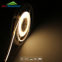 Enseignes Commerciales Néon, Éclairage d'Entrepôt, Éclairage Paysager, Bandes LED Adressables Personnalisables en Silicone, Étanchéité IP67, 12/24V