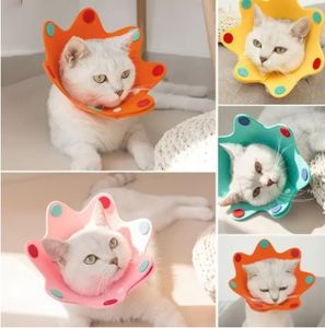 طوق لباد القط إليزابيث دائرة زهرة الشمس الياقات منتجات الحيوانات الأليفة أدوات الانتعاش المضادة لعق تشيهواهوا الكلب الفاخرة المختنق - Product Image 5