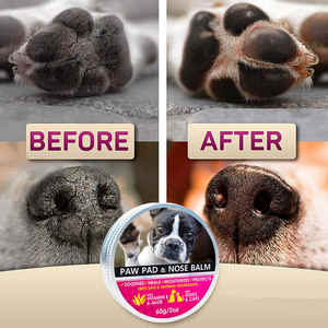 Pet Supplies Produkte Private Label Natural Paw Wax Protection Schnuller Pfote und Nase Custom Pet Paw <span class=keywords><strong>Balm</strong></span> für Hunde Katzen - Product Image 5