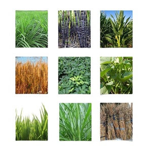 Machines de traitement des aliments multifonctionnelles pour broyer l'ensilage, la paille et écraser le maïs pour l'alimentation animale - Product Image 6