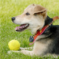 Balle de tennis rebondissante durable pour chien à bas prix, jouet interactif d'entraînement pour animaux de compagnie, jouet personnalisé imprimé pour animaux de compagnie en gros