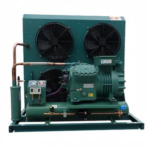 Hoge Kwaliteit Aangepaste R404a Koude Kamer Energiebesparende Outdoor Vriezer Loopkoeler R290/380V Motor Kern Condensatie Apparaat - Product Image 4