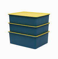 Boîte de rangement multifonctionnelle et multi-sections en plastique PP transparent, écologique et peu encombrante, pour bijoux, chaussettes, soutiens-gorge, portable