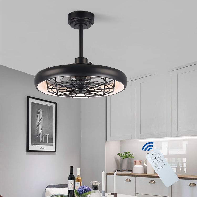Factory Price Modern Design Low Noise Bedroom Light Emitting Diode Iron Led Ceiling Fan Light