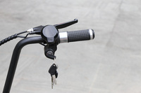 Scooter électrique Citycoco 1000W 48V 12Ah avec batterie au lithium, moteur sans balais étanche, pneus larges, pour adultes, capacité 200 kg