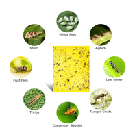 Diverses spécifications Piège à mouches jaune Lampe Stick Board Trap pour fourmis Termites Mites