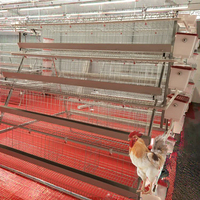 Nouvelle cage à batterie à alimentation automatique pour volailles pondeuses, en acier galvanisé de type H, capacité 160-256 poulets, 3/4, avec remise pour commande en gros