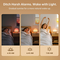Jam Alarm Matahari Terbit dengan Mesin Suara: Lampu Bangun Tidur Bertahap dengan Simulasi Matahari Terbit - Mesin Suara Putih dengan Speaker Bluetooth
