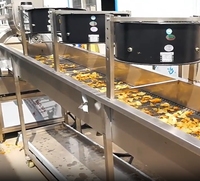 Ligne de production automatique de chips de pommes de terre fraîches au doigt de manioc ligne de production de frites surgelées à l'usine