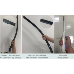 Sonda de Ultrasonido Convexa Portátil Visbull VS-Vprobe, Fácil Operación para Diagnóstico de Placenta Grande en Ganado Vacuno, Equino y Ovino, Transrectal - Product Image 5