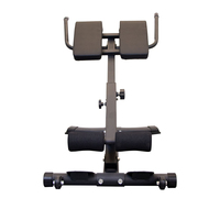 Hyperextension chaise romaine banc d'extension de dos Machine de Fitness pliable pour la maison GYM taille réglable entraîneur de dos abdominal
