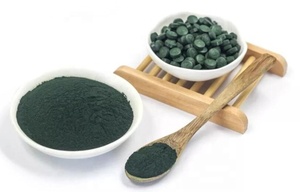 Polvere di magnolia all'ingrosso Private Label Food Grade 100% estratto puro colori verdi biologici raffreddare Area secca proteine 60% Min. CN;<span class=keywords><strong>LIA</strong></span> - Product Image 5