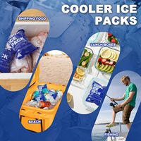 Packs de glace sèche personnalisés avec logo pour aliments, portables et jetables, et packs de glace en gel avec logo personnalisé pour aliments congelés
