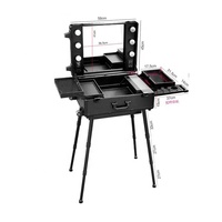 Trousse de maquillage de studio extensible avec étui de Train de maquillage lumineux Offre Spéciale organisateurs de maquillage professionnels en aluminium étui de vanité de mode