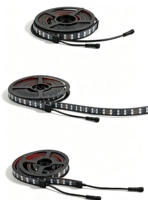 Kit d'éclairage LED néon sous châssis OEM/ODM pour voitures et camions, avec effets de poursuite de couleur et RGB/RGBIC
