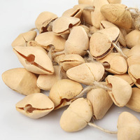 Shaker en coquille de graines de Chacha Kenari naturelles, 84 pièces, fait main, pour musique acoustique en direct et enregistrée