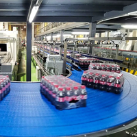 Máquina Automática para Llenado de Bebidas Carbonatadas, Máquina Embotelladora de Refrescos y Agua Carbonatada 3 en 1