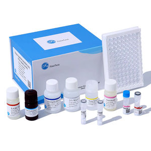 Human pro-BDNF (pro <span class=keywords><strong>Brain</strong></span> <span class=keywords><strong>Derived</strong></span> <span class=keywords><strong>Neurotrophic</strong></span> <span class=keywords><strong>Factor</strong></span>) エリザキット - Product Image 1