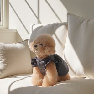 2025 sonbahar ve kış yeni iki parçalı gri yay kazak ceket + kürk eşarp kedi küçük köpek giysileri - Product Image 4