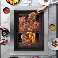 Horno Eléctrico Comercial Estilo Japonés OEM, Tubo de Calentamiento de Acero Inoxidable de 2400W, Directo de Fábrica, Plateado/Negro
